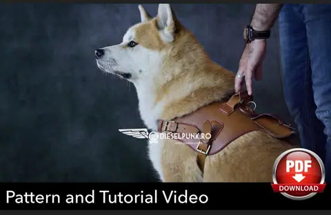 Rivus Dog Harness